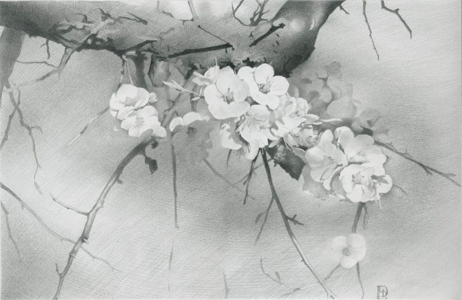 丹尼斯!乌克兰画家谢尔诺夫细致入微的美女、风景铅笔画