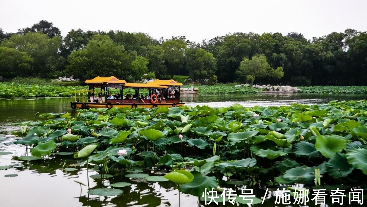 鸳鸯&诗词中的故事42：《南乡子》李珣五代没有沦落到花间的词人