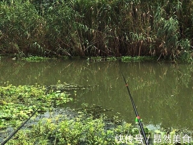 钓鱼圈的这几个“怪事”,大部分钓鱼人都遇到过