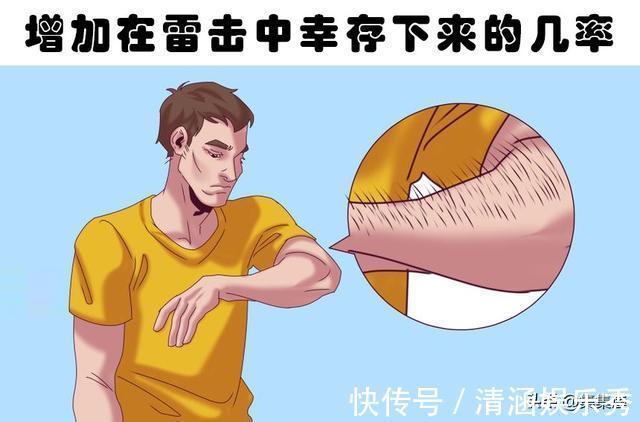 野生动物|在9种罕见的极端情况下,可以挽救生命的提示和技巧