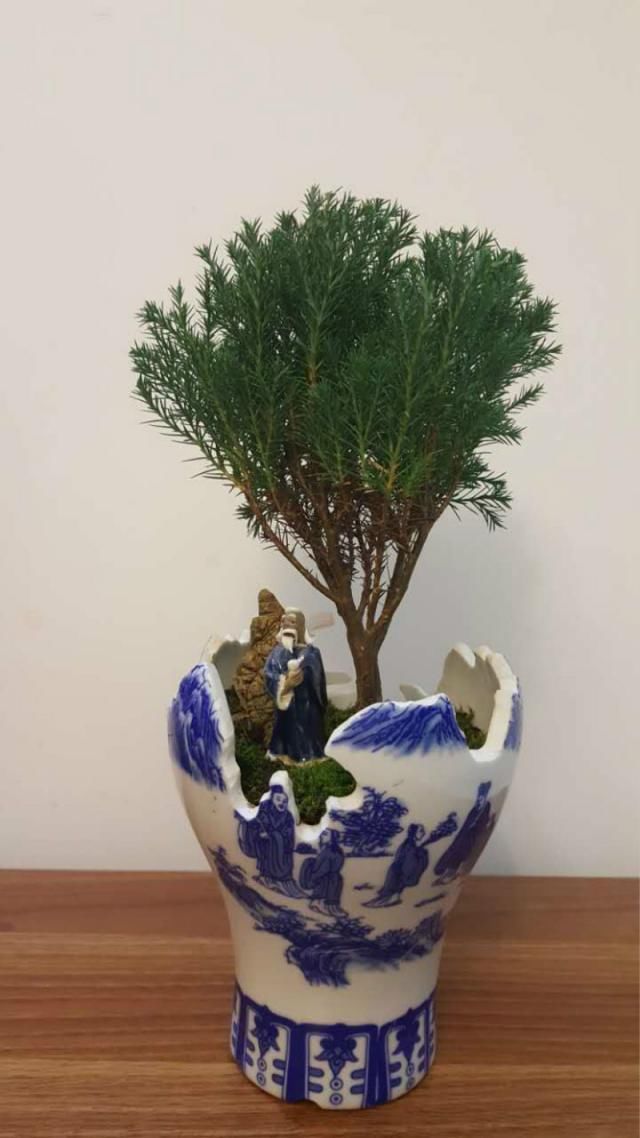 养花不捡垃圾,终究难成大神,绝美花盆统统不用钱