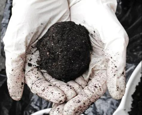 室内绿植种花不用盆，揉一个小球吊起来就让家里美翻