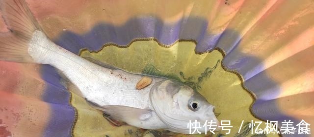 钓法|写给我自己的鲢鳙钓法,留存下来心情不好时,就用这种钓法去过瘾!
