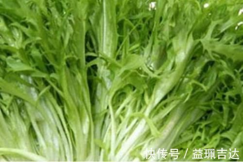 马齿苋|一份“高嘌呤”食物名单,尿酸高的人,尽量挑着吃