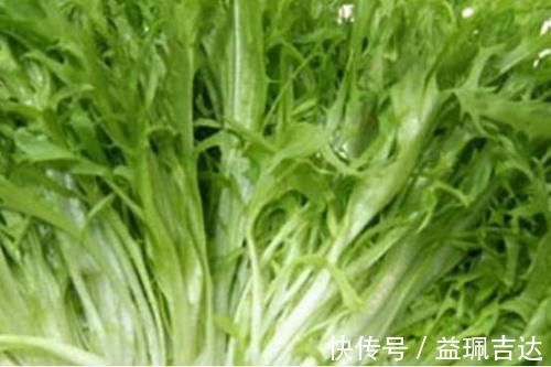 马齿苋|一份“高嘌呤”食物名单，尿酸高的人，尽量挑着吃