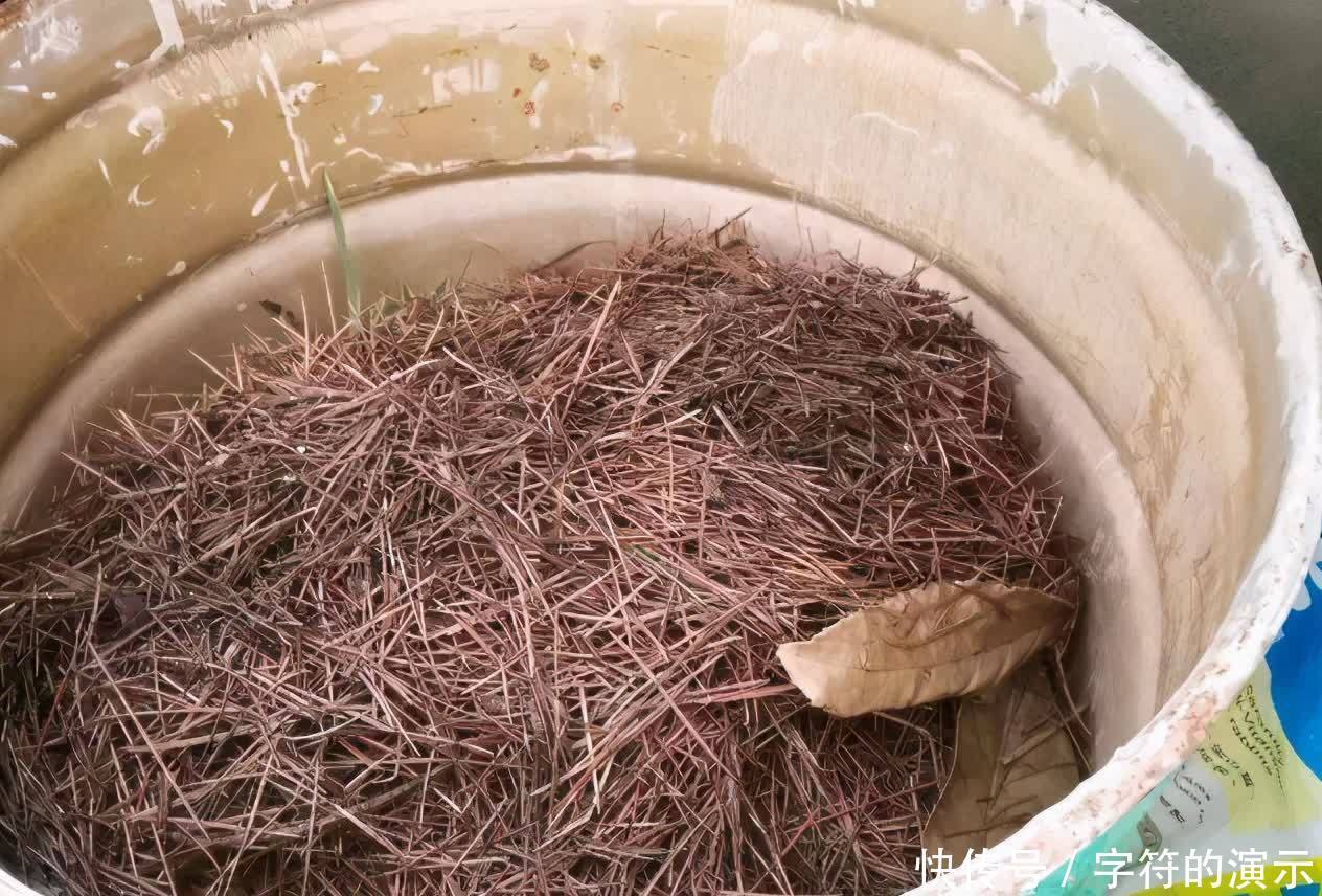 花土|养花选土,注意这些小事情,新人秒变老手,养啥旺啥