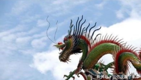 灌木丛|奇闻:男子将灌木丛修剪成龙?和传说中的龙有些差别