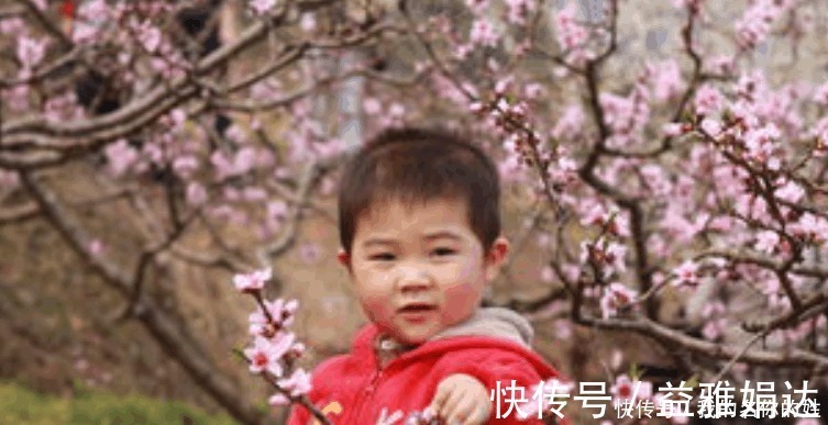 胎盘|生完娃后你的胎盘去哪了 是送医院了还是煲汤喝了 这里面可大有学问!