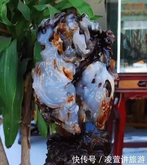 树化玉|亿万年前的宝贝,形似冰种翡翠,估值数百亿