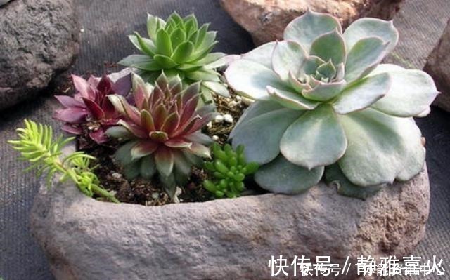 切割机|花盆买不起,自己动手做,好看又实用!花盆买不起,自己动手做,好看又实用!