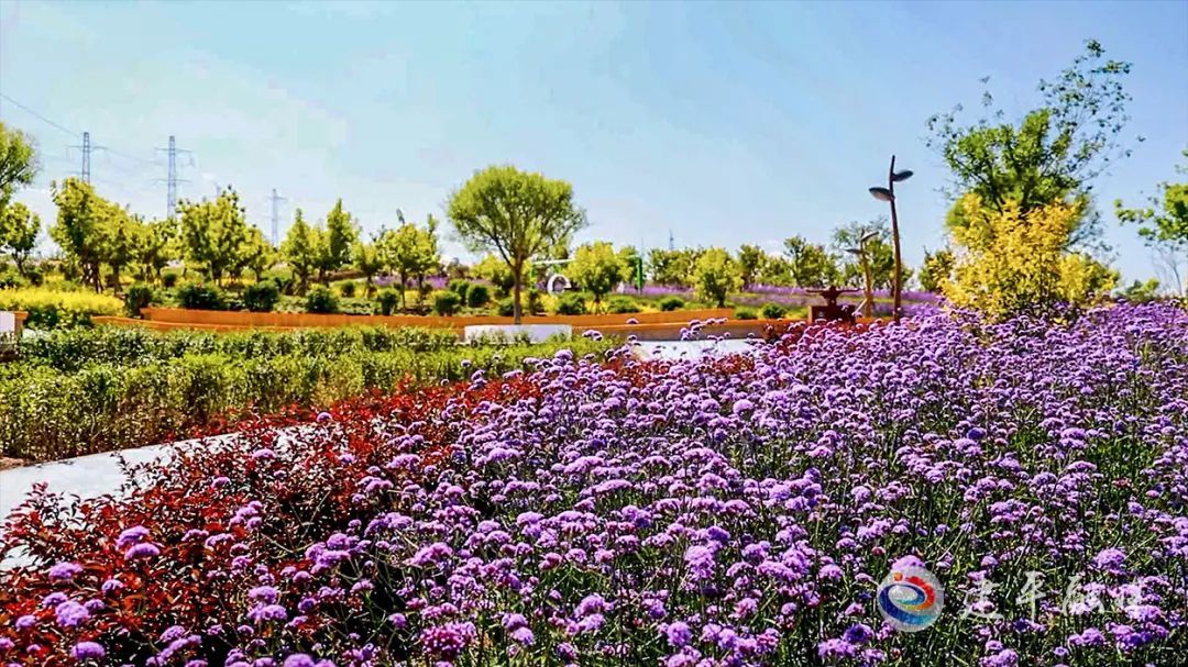 城市|生态宜居地，活力幸福城