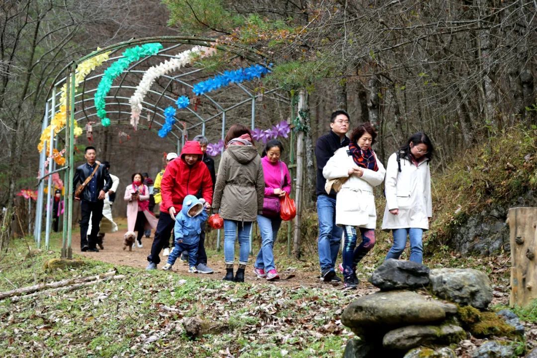  游客|探寻留坝秋季旅游爆红背后的秘密一：全域旅游，全域皆景