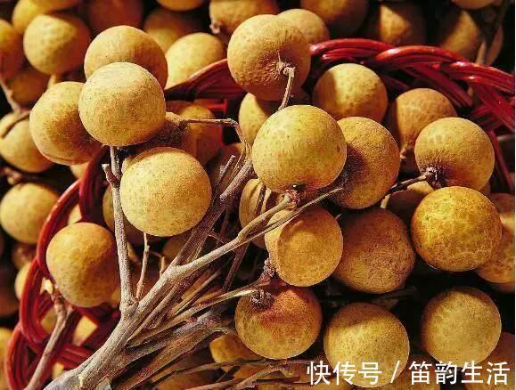 桂圆与龙眼的关系弄明白了吗每天吃几颗合适答案终于清楚了