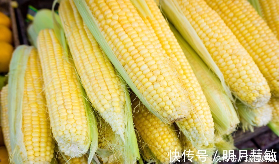 冷冻|保存玉米，直接冷冻还是煮熟再冻教你正确做法，玉米新鲜又香甜