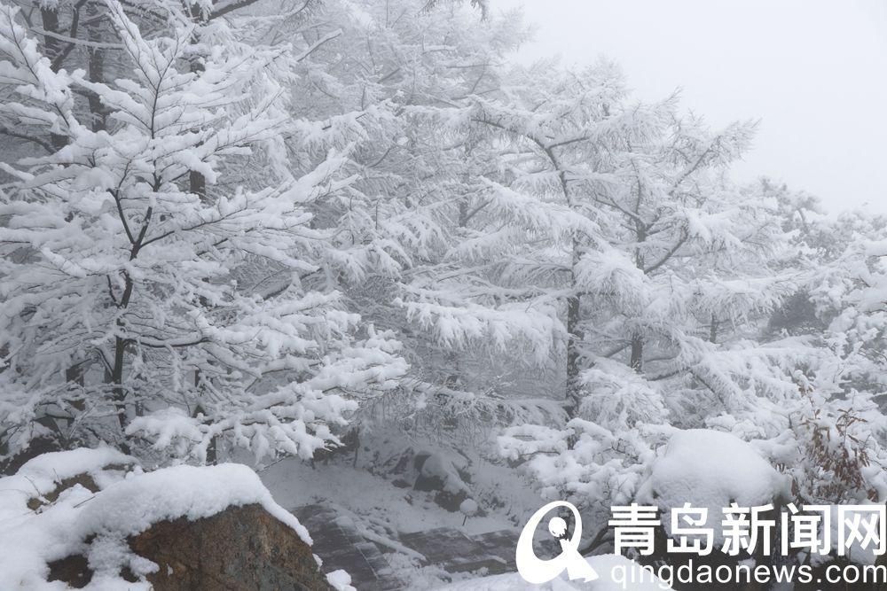 景区|崂山巨峰景区正常开放 游人雪中登崂山