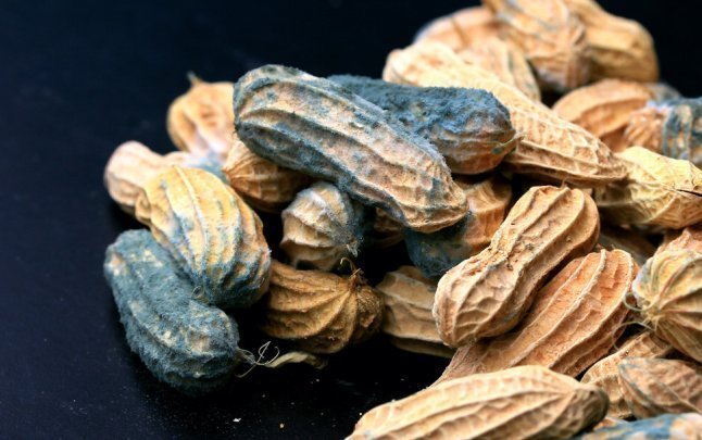 孙院士|92岁孙燕院士,钻研癌症60年,提醒:3种致癌食物千万别碰