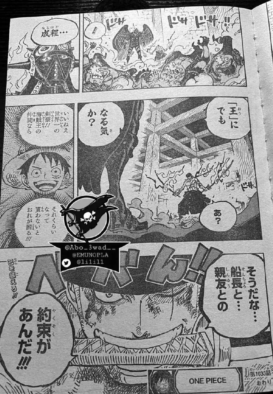 海贼王|海贼王1033话,烬灾原来是神族后裔,索隆霸王色终于觉醒