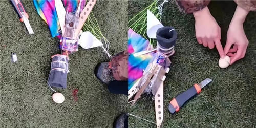 毫发 多级火箭直上云霄,这枚“ 乘客”返回后毫发无损