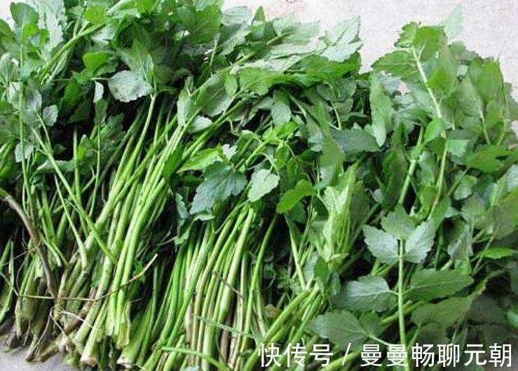 失眠|晚上睡眠质量差，莫慌！可多食此菜，失眠好了，晚上酣睡到天亮