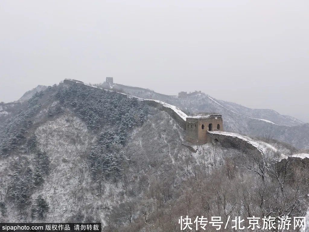 一夜之间|来啦！多图带你看紫禁城瑞雪，还有卖萌的熊猫、嬉戏的老虎~