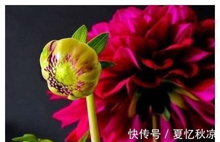 归位|7天后，春暖花开，牵手旧爱，注定重逢，爱情归位，旧情复燃