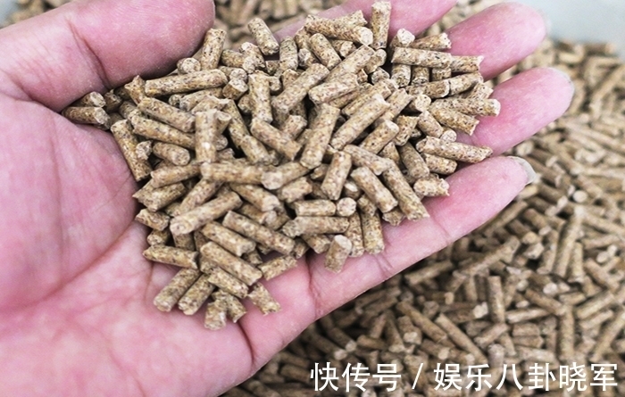 钓友|每次钓鱼都用这个方法,从来没有“空军”过,屡试不爽