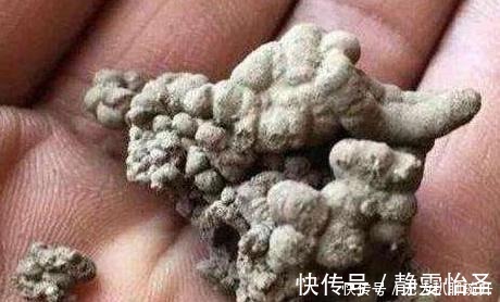 浇花|养花难不难?老花匠说:难的是养土,学会2个小诀窍,养好花不难