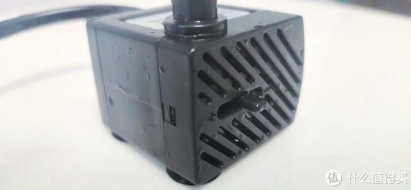 水泵|小呆评测 篇七十九：陶瓷质感高端大气，造型灵动焕发勃勃生机