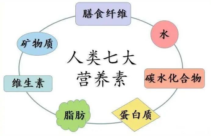 中国居民膳食指南|营养素是健康保障，但真的越多越好吗？