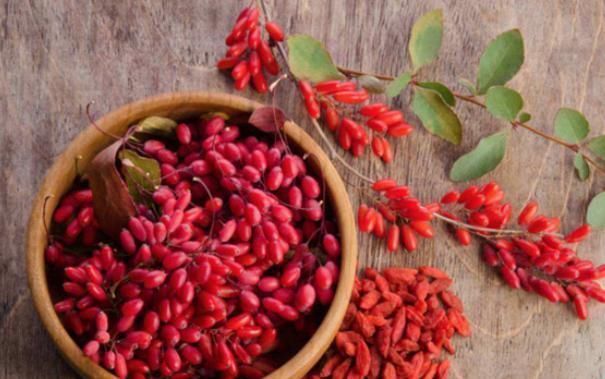 甜菜碱|每晚睡觉前吃“5粒”枸杞,坚持20天,“3大”好处不请自来!