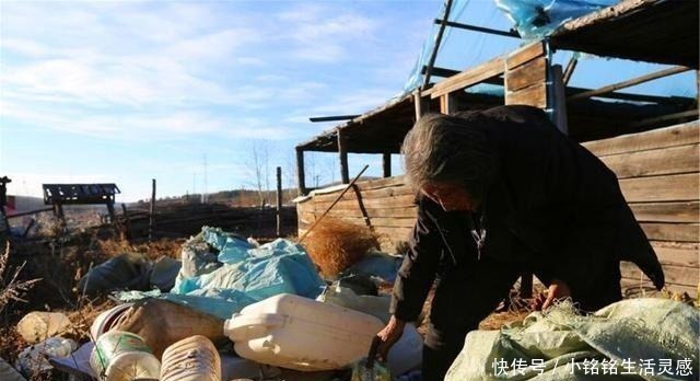 不少|拾荒老者无意捡到7斤铁块,转手卖了一万二,专家匈奴时的器物