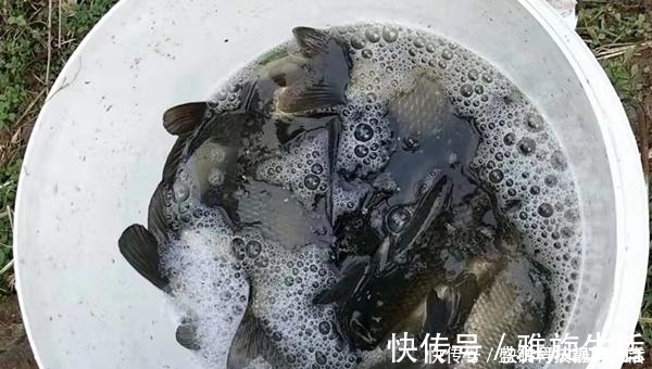 鱼钩|七星漂钓组的搭配和调漂技巧,野钓鲫鱼最靠谱钓法,钓鱼人必学