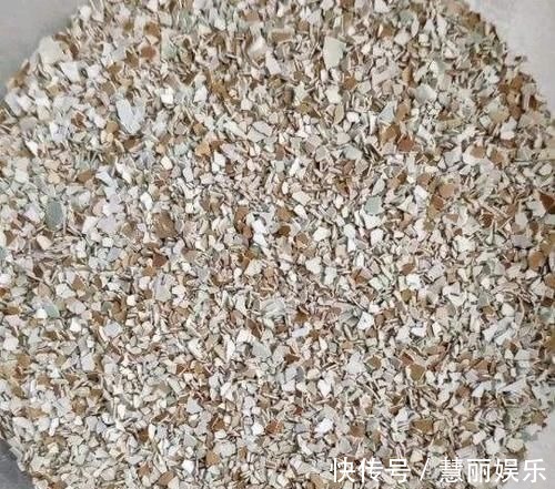 别把好东西当垃圾扔,这种东西养花特好使,后悔知道太晚了