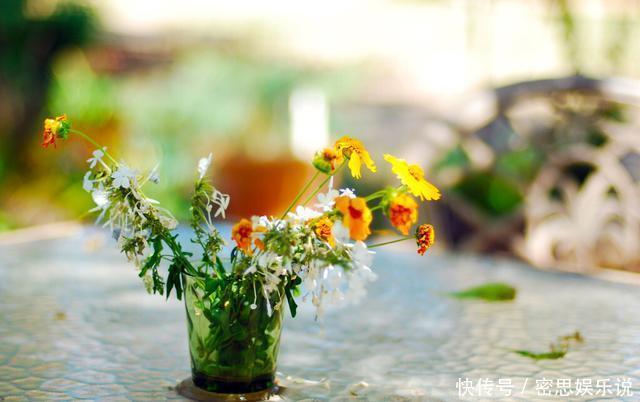 仙客来|被称为“夏必死”的8种花，我却喜欢买一些，因为能“省”不少钱