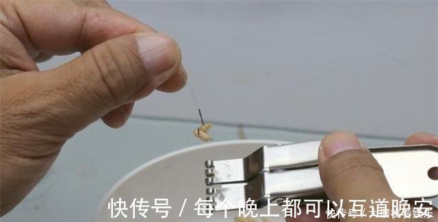 饵料|这东西常人难以接受,却是很不错的钓鱼饵料,钓鲫鱼鲤鱼效果绝佳