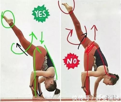 胸腔|为什么瑜伽练习不能照葫芦画瓢？看过这些图你就懂了…