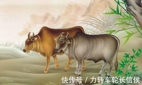 走运|11月下旬，天天忙着数钱，时来运转，先走运，后发财的3星座！