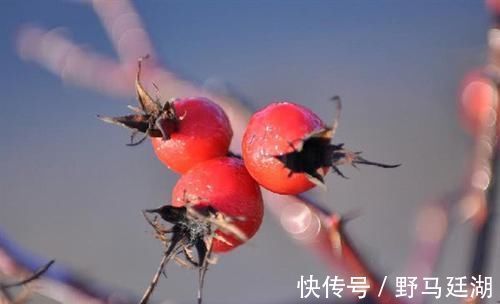 南瓜子|这6物是天然“二甲双胍”，没事换着吃，有助于血糖慢慢降低