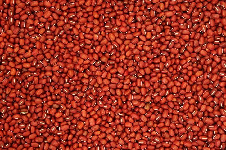 本草纲目|藏在厨房的调血脂“高手”!每天吃点它,控压、提高免疫力,还能预防老年痴呆!