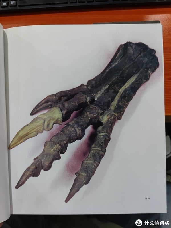 图书馆#图书馆猿の2021读书计划60：《灭绝与演化：化石中的生命全史》