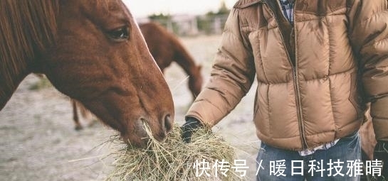 欧洲人|从“大贵族面包”到“马面包”看中世纪西方食物鄙视链