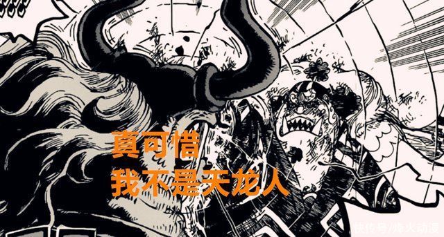 明哥|海賊王1018話:前有明哥，后有福茲弗，世界政府隱瞞了什么真相?