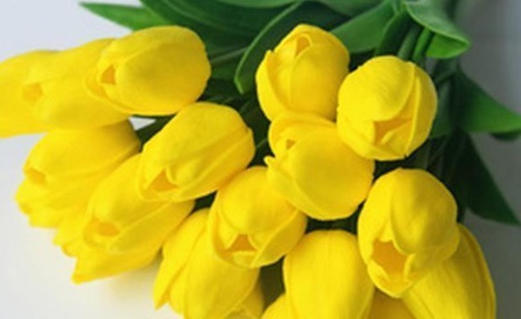 郁金|102岁老中医的养肝秘诀,家中常备1花1草,乙肝转阴也轻松