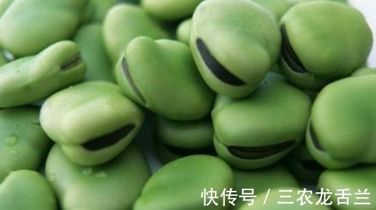幼苗|扁豆营养价值高还能美容养颜、抑癌抗瘤,那么如何高产栽培呢?