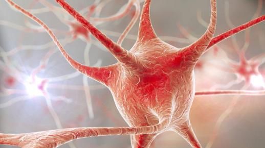 人类长寿已不再是秘密：8大长寿秘诀，已被破解