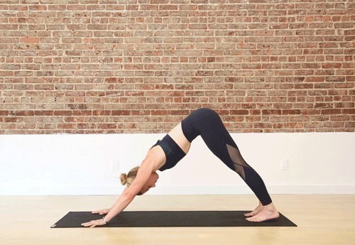 犬式|练瑜伽，不靠墙手倒立起不来这16组准备动作要常练