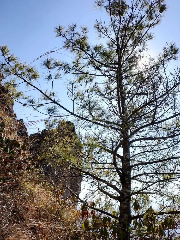 指南村|登顶东川小牯牛山——慈悲殿
