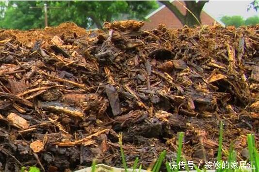 配土|养花不知道怎么配土?用这五种废料就够了