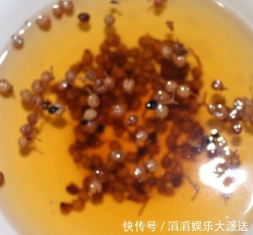 肉馅|调肉馅料子不是越多越好!学会3放2不放,肉质细嫩还多汁,特香