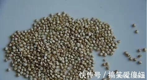 苦瓜|减肥吃什么 5大暴瘦食物帮你越吃越瘦 让你4天体重从108减到105斤